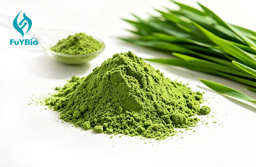 Pure Organic Wheatgrass Powder